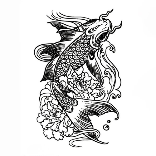 Koi